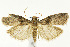  ( - CNCLEP00041076)  @14 [ ] CreativeCommons - Attribution Non-Commercial Share-Alike (2007) Unspecified Canadian National Collection