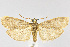  ( - CNCLEP00041077)  @14 [ ] CreativeCommons - Attribution Non-Commercial Share-Alike (2007) Unspecified Canadian National Collection