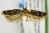  ( - CNCLEP00056050)  @14 [ ] CreativeCommons - Attribution Non-Commercial Share-Alike (2007) Unspecified Canadian National Collection