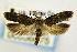  ( - CNCLEP00056075)  @15 [ ] CreativeCommons - Attribution Non-Commercial Share-Alike (2007) Unspecified Canadian National Collection