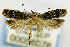  ( - CNCLEP00056076)  @13 [ ] CreativeCommons - Attribution Non-Commercial Share-Alike (2007) Unspecified Canadian National Collection
