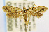  ( - CNCLEP00056090)  @13 [ ] CreativeCommons - Attribution Non-Commercial Share-Alike (2007) Unspecified Canadian National Collection