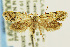  ( - CNCLEP00056091)  @13 [ ] CreativeCommons - Attribution Non-Commercial Share-Alike (2007) Unspecified Canadian National Collection