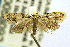  ( - CNCLEP00056092)  @13 [ ] CreativeCommons - Attribution Non-Commercial Share-Alike (2007) Unspecified Canadian National Collection