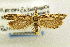  ( - CNCLEP00056097)  @13 [ ] CreativeCommons - Attribution Non-Commercial Share-Alike (2007) Unspecified Canadian National Collection