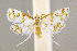 ( - CNCLEP00059894)  @11 [ ] CreativeCommons - Attribution Non-Commercial Share-Alike (2007) Unspecified Canadian National Collection