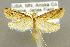  ( - CNCLEP00059895)  @14 [ ] CreativeCommons - Attribution Non-Commercial Share-Alike (2007) Unspecified Canadian National Collection
