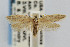  ( - CNCLEP00060187)  @14 [ ] CreativeCommons - Attribution Non-Commercial Share-Alike (2007) Unspecified Canadian National Collection