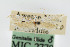  ( - CNCLEP00001091)  @11 [ ] CreativeCommons - Attribution Non-Commercial Share-Alike (2007) Unspecified Canadian National Collection