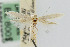  ( - CNCLEP00001095)  @11 [ ] CreativeCommons - Attribution Non-Commercial Share-Alike (2007) Unspecified Canadian National Collection