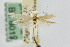  ( - CNCLEP00001096)  @11 [ ] CreativeCommons - Attribution Non-Commercial Share-Alike (2007) Unspecified Canadian National Collection