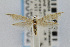  ( - CNCLEP00003062)  @13 [ ] CreativeCommons - Attribution Non-Commercial Share-Alike (2007) Unspecified Canadian National Collection