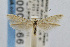  ( - CNCLEP00003066)  @13 [ ] CreativeCommons - Attribution Non-Commercial Share-Alike (2007) Unspecified Canadian National Collection