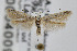  ( - CNCLEP00004009)  @14 [ ] CreativeCommons - Attribution Non-Commercial Share-Alike (2007) Unspecified Canadian National Collection