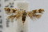  ( - CNCLEP00014751)  @14 [ ] CreativeCommons - Attribution Non-Commercial Share-Alike (2007) Unspecified Canadian National Collection