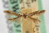  ( - CNCLEP00018036)  @11 [ ] CreativeCommons - Attribution Non-Commercial Share-Alike (2007) Unspecified Canadian National Collection