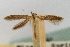  ( - CNCLEP00018037)  @11 [ ] CreativeCommons - Attribution Non-Commercial Share-Alike (2007) Unspecified Canadian National Collection