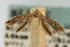  ( - CNCLEP00018038)  @11 [ ] CreativeCommons - Attribution Non-Commercial Share-Alike (2007) Unspecified Canadian National Collection