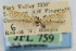  ( - CNCLEP00018040)  @13 [ ] CreativeCommons - Attribution Non-Commercial Share-Alike (2007) Unspecified Canadian National Collection