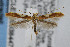  ( - CNCLEP00038447)  @13 [ ] CreativeCommons - Attribution Non-Commercial Share-Alike (2007) Unspecified Canadian National Collection