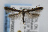  ( - CNCLEP00038460)  @13 [ ] CreativeCommons - Attribution Non-Commercial Share-Alike (2007) Unspecified Canadian National Collection