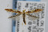  ( - CNCLEP00038468)  @12 [ ] CreativeCommons - Attribution Non-Commercial Share-Alike (2007) Unspecified Canadian National Collection