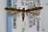  ( - CNCLEP00038483)  @12 [ ] CreativeCommons - Attribution Non-Commercial Share-Alike (2007) Unspecified Canadian National Collection