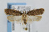  ( - CNCLEP00038505)  @14 [ ] CreativeCommons - Attribution Non-Commercial Share-Alike (2007) Unspecified Canadian National Collection