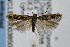  ( - CNCLEP00038507)  @14 [ ] CreativeCommons - Attribution Non-Commercial Share-Alike (2007) Unspecified Canadian National Collection