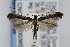  ( - CNCLEP00038509)  @13 [ ] CreativeCommons - Attribution Non-Commercial Share-Alike (2007) Unspecified Canadian National Collection