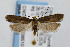  ( - CNCLEP00038510)  @13 [ ] CreativeCommons - Attribution Non-Commercial Share-Alike (2007) Unspecified Canadian National Collection