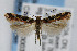  ( - CNCLEP00038519)  @13 [ ] CreativeCommons - Attribution Non-Commercial Share-Alike (2007) Unspecified Canadian National Collection