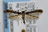  ( - CNCLEP00038521)  @12 [ ] CreativeCommons - Attribution Non-Commercial Share-Alike (2007) Unspecified Canadian National Collection