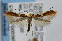  ( - CNCLEP00038527)  @12 [ ] CreativeCommons - Attribution Non-Commercial Share-Alike (2007) Unspecified Canadian National Collection