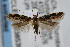  ( - CNCLEP00038539)  @13 [ ] CreativeCommons - Attribution Non-Commercial Share-Alike (2007) Unspecified Canadian National Collection