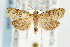  ( - CNCLEP00042302)  @13 [ ] CreativeCommons - Attribution Non-Commercial Share-Alike (2007) Unspecified Canadian National Collection