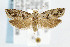  ( - CNCLEP00042308)  @13 [ ] CreativeCommons - Attribution Non-Commercial Share-Alike (2007) Unspecified Canadian National Collection