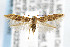  ( - CNCLEP00042325)  @14 [ ] CreativeCommons - Attribution Non-Commercial Share-Alike (2007) Unspecified Canadian National Collection