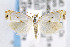  ( - CNCLEP00042374)  @13 [ ] CreativeCommons - Attribution Non-Commercial Share-Alike (2007) Unspecified Canadian National Collection