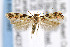  ( - CNCLEP00042377)  @14 [ ] CreativeCommons - Attribution Non-Commercial Share-Alike (2007) Unspecified Canadian National Collection