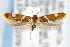  ( - CNCLEP00042379)  @14 [ ] CreativeCommons - Attribution Non-Commercial Share-Alike (2007) Unspecified Canadian National Collection