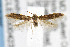  ( - CNCLEP00042390)  @14 [ ] CreativeCommons - Attribution Non-Commercial Share-Alike (2007) Unspecified Canadian National Collection