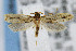  ( - CNCLEP00042527)  @13 [ ] CreativeCommons - Attribution Non-Commercial Share-Alike (2007) Unspecified Canadian National Collection