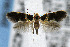  ( - CNCLEP00042536)  @14 [ ] CreativeCommons - Attribution Non-Commercial Share-Alike (2007) Unspecified Canadian National Collection