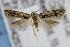  ( - CNCLEP00042537)  @14 [ ] CreativeCommons - Attribution Non-Commercial Share-Alike (2007) Unspecified Canadian National Collection