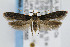  ( - CNCLEP00042565)  @15 [ ] CreativeCommons - Attribution Non-Commercial Share-Alike (2007) Unspecified Canadian National Collection