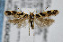  ( - CNCLEP00042573)  @14 [ ] CreativeCommons - Attribution Non-Commercial Share-Alike (2007) Unspecified Canadian National Collection