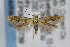  ( - CNCLEP00042739)  @13 [ ] CreativeCommons - Attribution Non-Commercial Share-Alike (2007) Unspecified Canadian National Collection