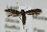  ( - CNCLEP00056276)  @12 [ ] CreativeCommons - Attribution Non-Commercial Share-Alike (2007) Unspecified Canadian National Collection