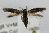  ( - CNCLEP00056335)  @13 [ ] CreativeCommons - Attribution Non-Commercial Share-Alike (2007) Unspecified Canadian National Collection